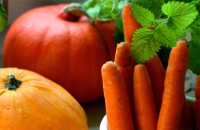 /album/zahradka-v-brne/zelenina-pickles-1-jpg/